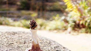 広かったです◎