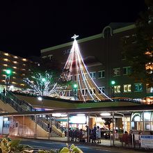 11月20日前後の利用だが、クリスマスのライトになってた