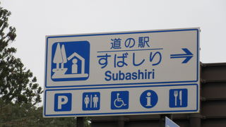 東富士五湖道路の須走ICのすぐ横にあり、専用に近い流入路もあり高速道路のSAの様な道の駅でした