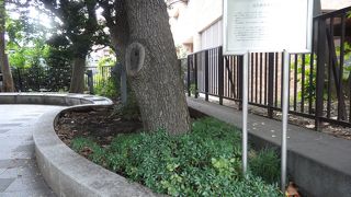 JR御茶ノ水駅近く