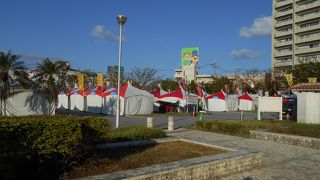 大きな公園です