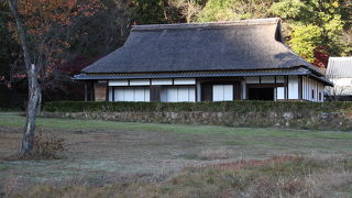 静かに秋と戯れました