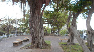 眺めがよかったです