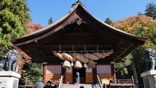 立派なしめ縄と天覧の白松