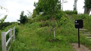 まだわかっていないことが多いようです