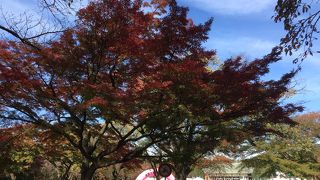 東京郊外の広大な公園