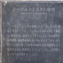 「シーボルトと日本の植物」説明板