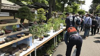 相変わらずすごい人出でした。