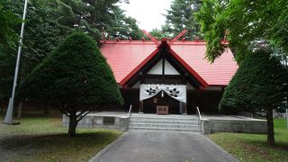 エゾリスがいっぱい