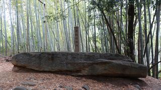 かなり大きな石です