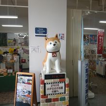 秋田犬の本場