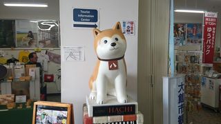 秋田犬のグッズが沢山売っている