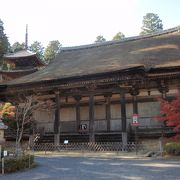 常楽寺（湖南）に紅葉を見に行きました