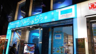 美ら海水族館限定商品もある