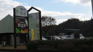 野菜が豊富です！