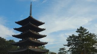 中金堂、国宝館、見どころが沢山！