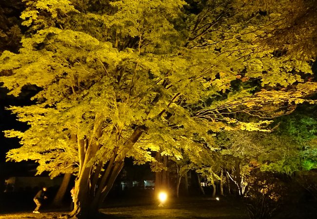 見晴公園 香雪園 クチコミ アクセス 営業時間 函館 フォートラベル 見晴公園 香雪園 クチコミ アクセス 営業時間 函館 フォートラベル