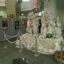 かなり大きいんですよ！でもただ目立た無い場所に？