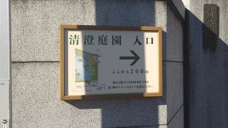 紅葉が綺麗でした。