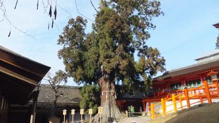 近隣スポットと遜色なし