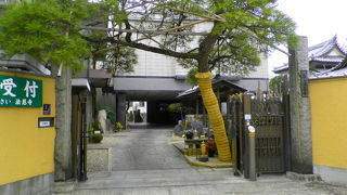 山門の松が印象的な法華宗の寺院