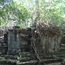 植物に覆われた遺跡の風景