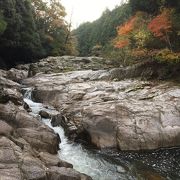 紅葉の時期がオススメ