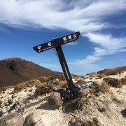 標高1774m！主峰久住山と最高峰中岳に近接する九重連山を形成する火山