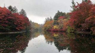 寒い！寒い！軽井沢はとにかく寒い！(2018.10/26) だから紅葉真っ盛り。