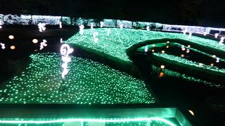 11/3（2018）からは「光の森のページェント」（イルミネーション）が楽しめる