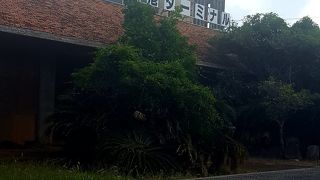 現在は定期便はありません。