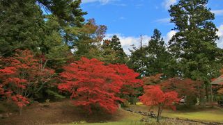 紅葉が綺麗でした