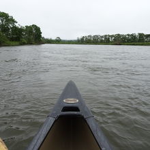 カヌーで下る釧路川