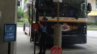 気分はもうディズニーの中に