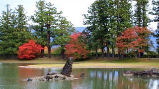 池の周りの紅葉が綺麗
