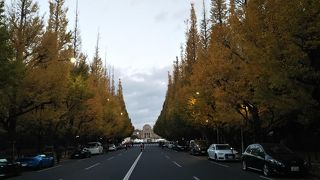 いちょう並木は朝6時台でも路駐がいっぱい