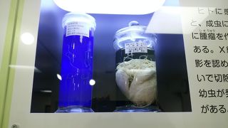 大鳥神社ちかくの無料の博物館