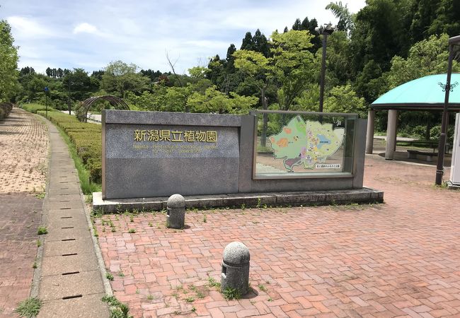 新潟県立植物園 クチコミ アクセス 営業時間 新津 白根 フォートラベル