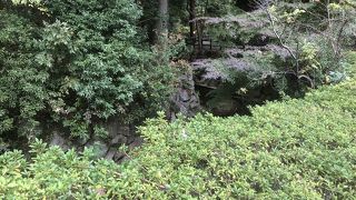 紅葉を期待していたのだが