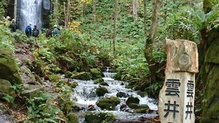 奥入瀬の滝壺のない滝