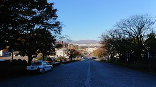 八幡坂と並ぶ美しさ