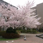 北海道の芸術文化の登竜門