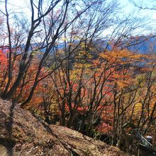 山伏峠分岐付近