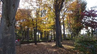 住宅街の中にある自然に恵まれた公園。