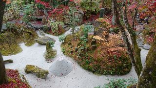 ザ・日本庭園！