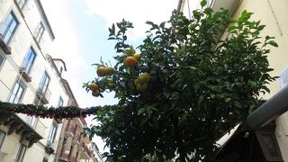 とてもにぎやか