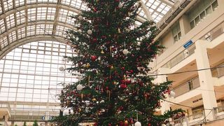 室内にある大きいクリスマスツリー