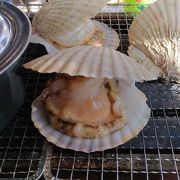 セルフ浜焼き