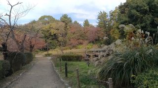 とても広い公園