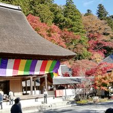 紅葉の境内に建つ本堂です